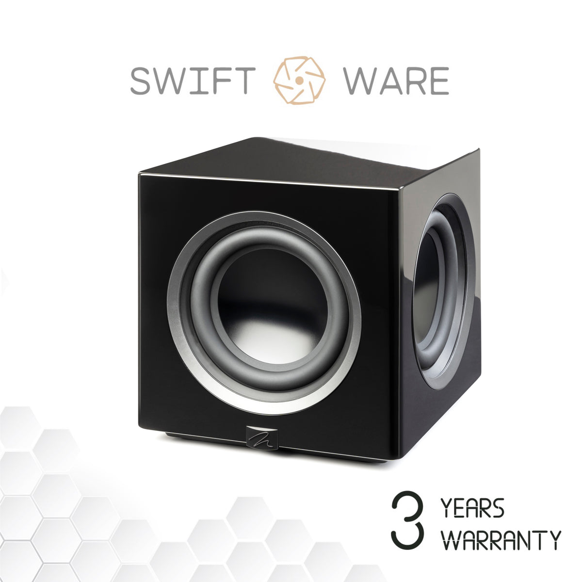MartinLogan Abyss 10" Subwoofer